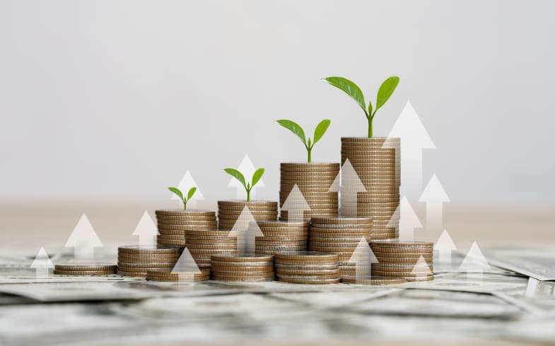 Revenue Growth