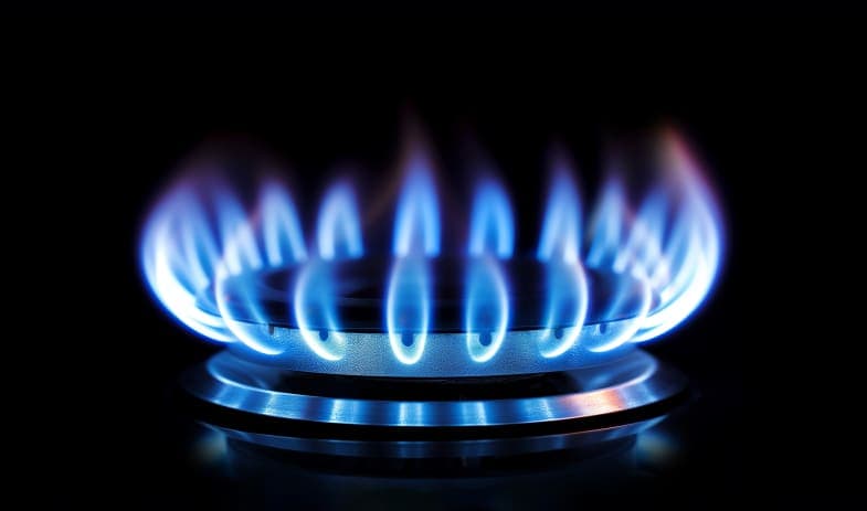 Natural Gas Purchasing Service logo